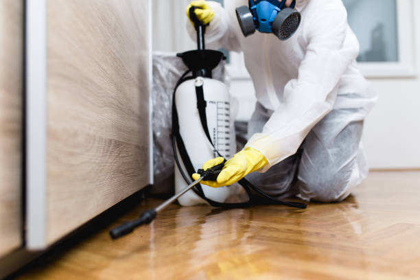Best Wildlife Control Services  in Burt, MI