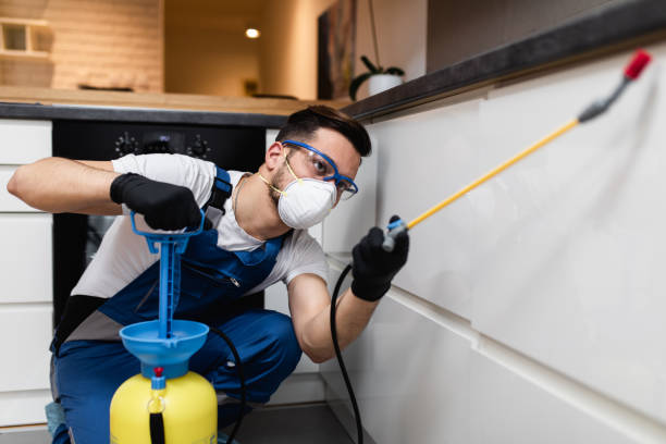 Best Local Pest Control Services  in Burt, MI