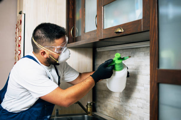 Best Affordable Pest Control Services  in Burt, MI