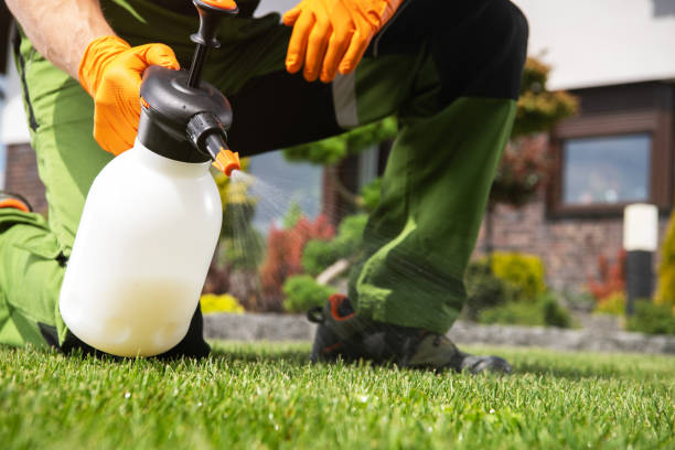  Burt, MI Pest Control Pros