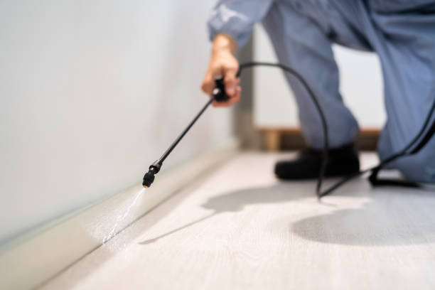 Best Pest Inspection Near Me  in Burt, MI