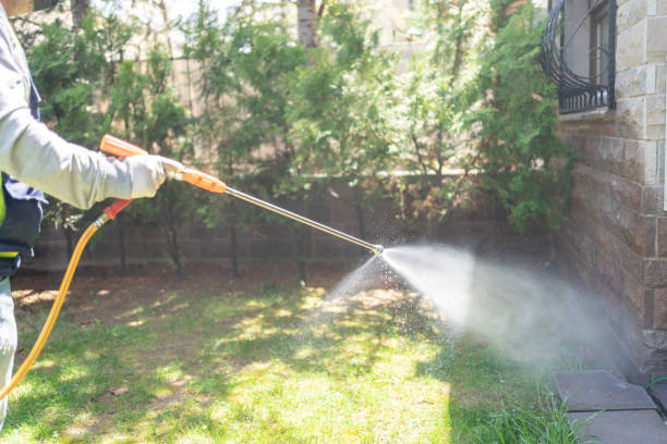 Best Affordable Pest Control Services  in Burt, MI