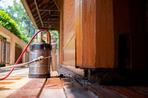 Best Termite Control Services  in Burt, MI