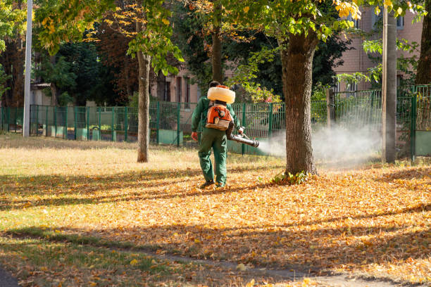 Best Spider Control Near Me  in Burt, MI