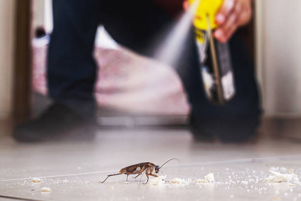 Best Emergency Pest Control  in Burt, MI